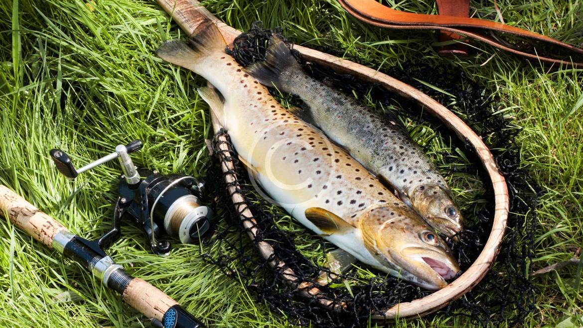 Now to Keep Your Fishing Tackle Super Organized