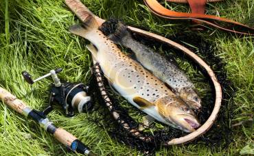 Now to Keep Your Fishing Tackle Super Organized