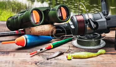 Hunters Encouraged to Report Sightings of Sick Deer