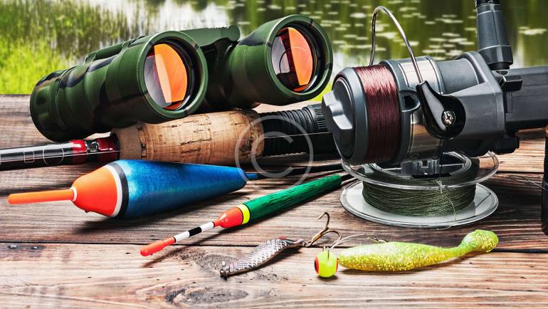 Hunters Encouraged to Report Sightings of Sick Deer